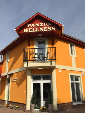 Отель Tó- Party Panoráma Panzió & Wellness  Кижомбор